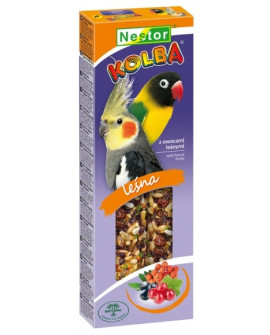 Nestor Kolba Papuga średnia owoce leśne 2szt