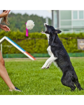 Dingo Zabawka dla psa - Szarpak Naturalne futro owcze bungee zielony