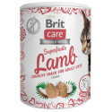 Brit Care Cat Snack Superfruits Lamb 100g