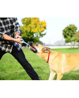 Chuckit! Ultra Tug Medium [231201]