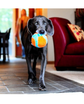 Chuckit! Indoor Ball [213201]