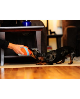 Chuckit! Indoor Ball [213201]