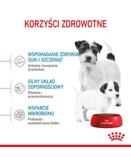 Royal Canin Mini Starter Mother&Babydog karma sucha dla szczeniąt do 2 miesiąca i suk karmiących ras małych 1kg