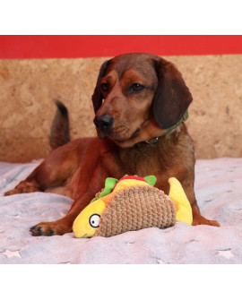 Dingo Zabawka Dla Psa - Taco 20Cm