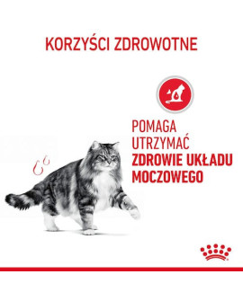 Royal Canin Urinary Care Karma Sucha Dla Kotów Dorosłych, Ochrona Dolnych Dróg Moczowych 400G