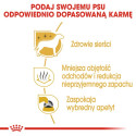 Royal Canin Maltese Adult Karma Sucha Dla Psów Dorosłych Rasy Maltańczyk 500G