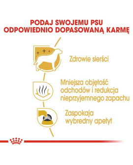 Royal Canin Maltese Adult Karma Sucha Dla Psów Dorosłych Rasy Maltańczyk 500G