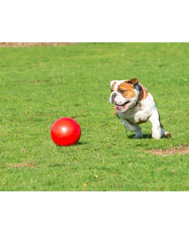 Boomer Ball M - 6" / 15Cm Czerwona