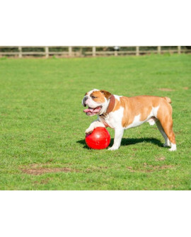 Boomer Ball M - 6" / 15Cm Czerwona