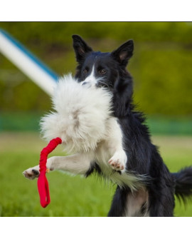 Dingo Zabawka Dla Psa - Szarpak Naturalne Futro Owcze Bungee Różowy