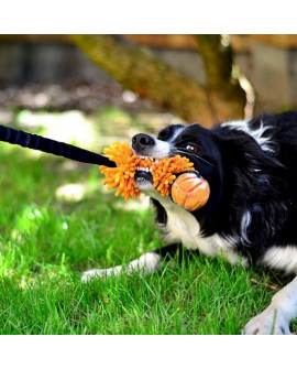 Dingo Zabawka Dla Psa - Szarpak Mop Bungee Z Piłką Pomarańczowy