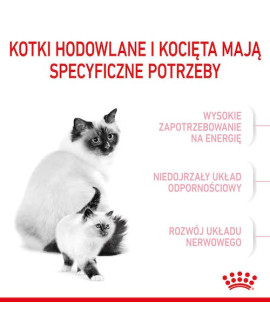 Royal Canin Mother&Babycat Karma Sucha Dla Kotek W Okresie Ciąży, Laktacji I Kociąt Od 1 Do 4 Miesiąca 400G