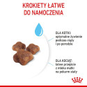 Royal Canin Mother&Babycat Karma Sucha Dla Kotek W Okresie Ciąży, Laktacji I Kociąt Od 1 Do 4 Miesiąca 400G