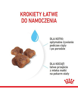 Royal Canin Mother&Babycat Karma Sucha Dla Kotek W Okresie Ciąży, Laktacji I Kociąt Od 1 Do 4 Miesiąca 400G