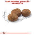 Royal Canin Sterilised Karma Sucha Dla Kotów Dorosłych, Sterylizowanych 4Kg