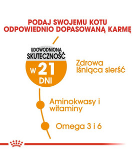 Royal Canin Hair&Skin Care Karma Sucha Dla Kotów Dorosłych, Lśniąca Sierść I Zdrowa Skóra 400G