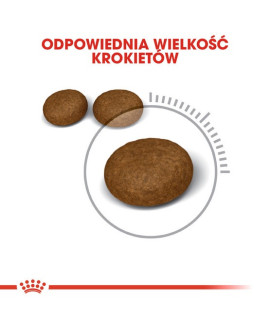 Royal Canin Hair&Skin Care Karma Sucha Dla Kotów Dorosłych, Lśniąca Sierść I Zdrowa Skóra 400G