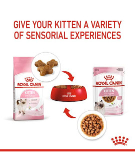 Royal Canin Kitten W Galaretce Karma Mokra Dla Kociąt Do 12 Miesiąca Życia Saszetka 85G