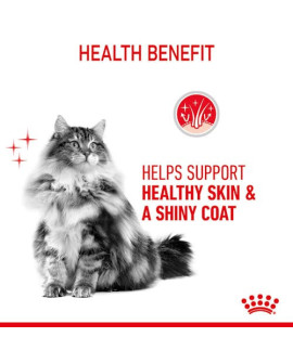Royal Canin Hair & Skin Care W Sosie  Karma Mokra Dla Kotów Dorosłych, Zdrowa Skóra, Piękna Sierść Saszetka 85G
