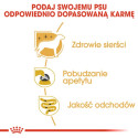 Royal Canin Yorkshire Terrier Adult Karma Mokra - Pasztet, Dla Psów Dorosłych Rasy Yorkshire Terrier Saszetka 85G
