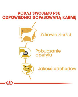 Royal Canin Yorkshire Terrier Adult Karma Mokra - Pasztet, Dla Psów Dorosłych Rasy Yorkshire Terrier Saszetka 85G