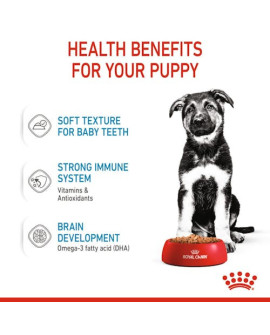 Royal Canin Maxi Puppy Karma Mokra W Sosie Dla Szczeniąt, Od 2 Do 15 Miesiąca Życia, Ras Dużych Saszetka 140G