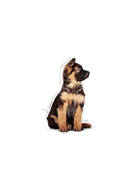 Royal Canin Maxi Puppy Karma Mokra W Sosie Dla Szczeniąt, Od 2 Do 15 Miesiąca Życia, Ras Dużych Saszetka 140G