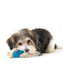 Petstages Orka Zestaw Gryzaków Ultra Mini Ps234