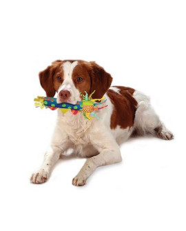 Petstages Gryzak Dla Ząbkujących Szczeniąt Ps126