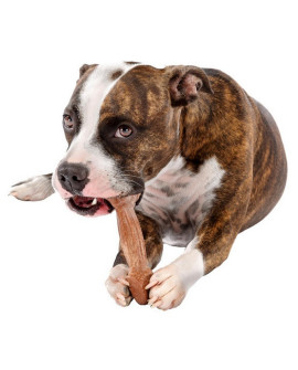 Ferplast Goodbite Natural Singlepack Wołowina 1Szt M 70G