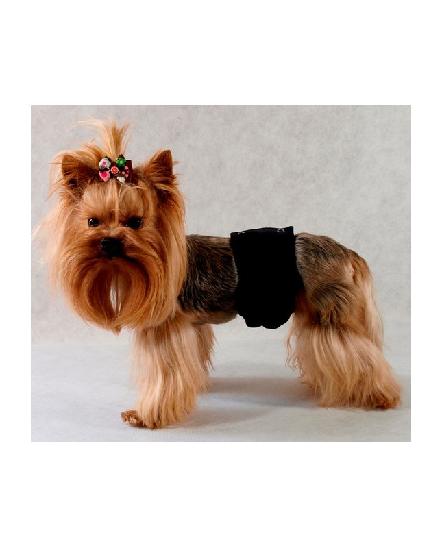 Grande Finale Pampas Czarny - Majtki Dla Samca Rozmiar 2 [Pa1/2]