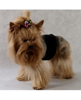 Grande Finale Pampas Czarny - Majtki Dla Samca Rozmiar 2 [Pa1/2]