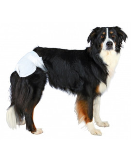 Trixie Pieluchy/Majtki Dla Suki 12Szt/Op  S-M  [23632]