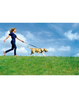 Zolux Smycz Do Samochodu Dla Psów [403340]