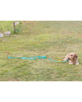 Trixie Wkręt Do Przywiązywania Psa 40Cm/9Mm  [Tx-2259]