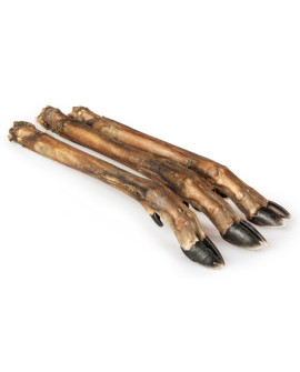 Balto Racica Sarny 5Szt