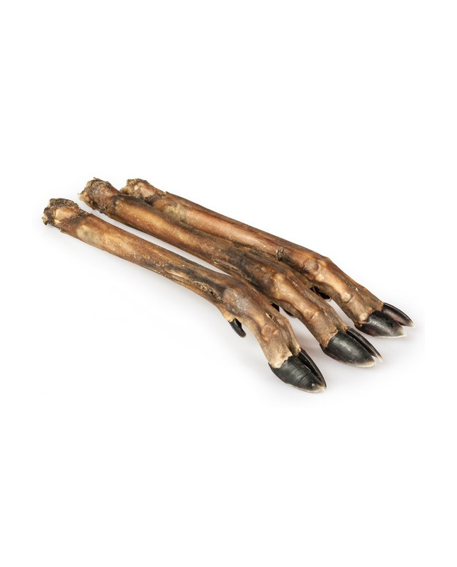 Balto Racica Sarny 5Szt