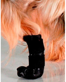 Grande Finale But Na Chorą Łapę R.2 - 5Cm