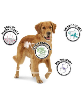 8In1 Fillets Pro Active - Przekąska Na Stawy 80G