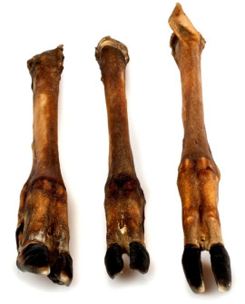 Balto Racica Jelenia 2Szt