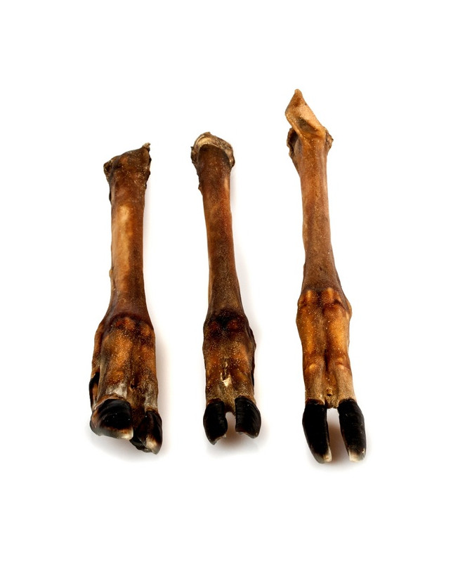 Balto Racica Jelenia 2Szt