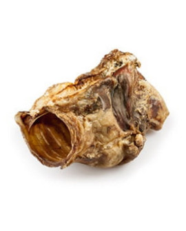 Balto Krtań Wołowa 1Szt