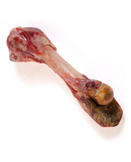 Zolux Kość Z Szynki Parmeńskiej L 370G