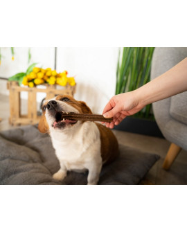 Josera Denties Poultry & Blueberry 180G