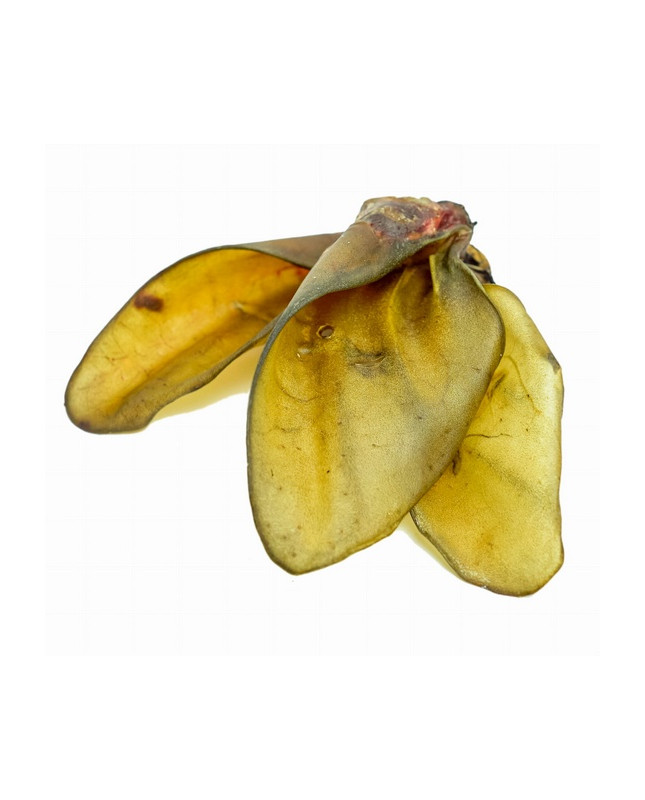 Balto Ucho Wołowe 1Szt.