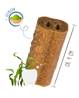 Sammy's Tooth Fairy Dental Snack Z Algami 60G