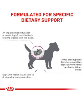 Royal Canin Veterinary Diet Canine Renal Small Dog 500G