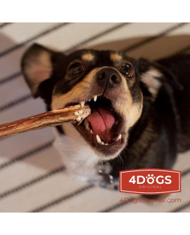 4Dogs Gryzak Z Penisa Wołowego L