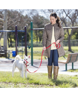 Halti Kantarek - Obroża Uzdowa Rozmiar 2 Czerwona