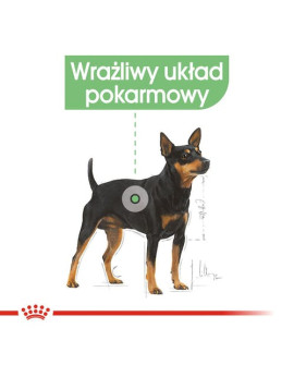 Royal Canin Digestive Care Karma Mokra Dla Psów Dorosłych, Wszystkich Ras O Wrażliwym Przewodzie Pokarmowym Saszetka 85G